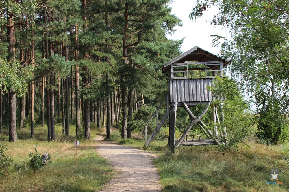 Pervalka_54