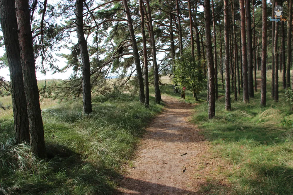 Pervalka_10