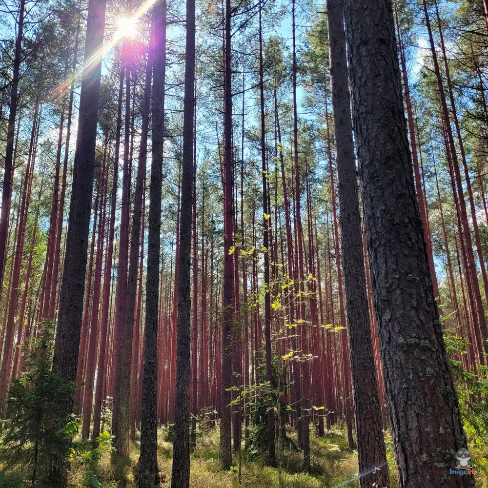 PNKemeri_57