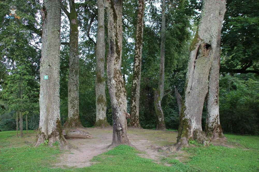 TautasdziesmuPark_15