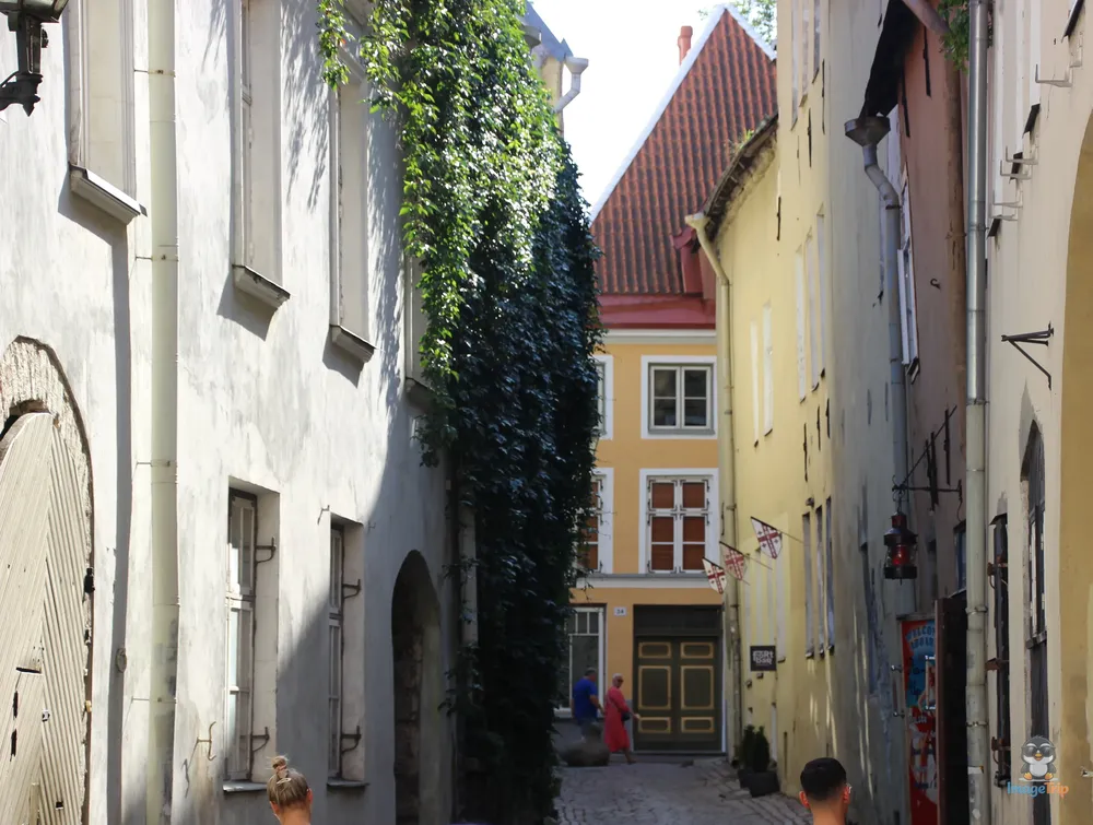 TallinLaiStreet_6