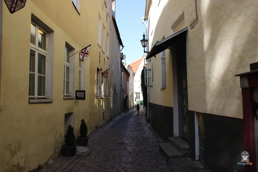 TallinVaimuStreet_4