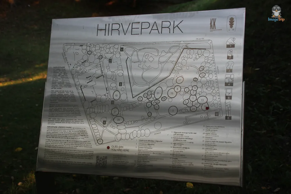 TallinHIrvepark_1