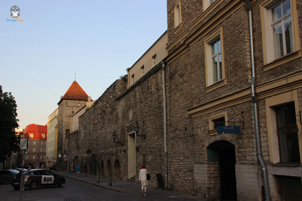 Harjumagi_6