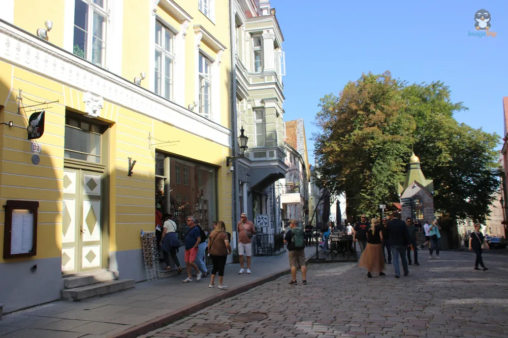 TallinPikk_5