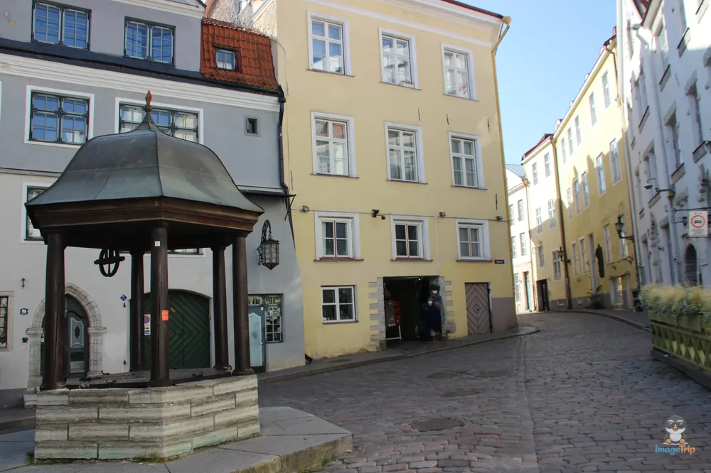 TallinCatsWell_2