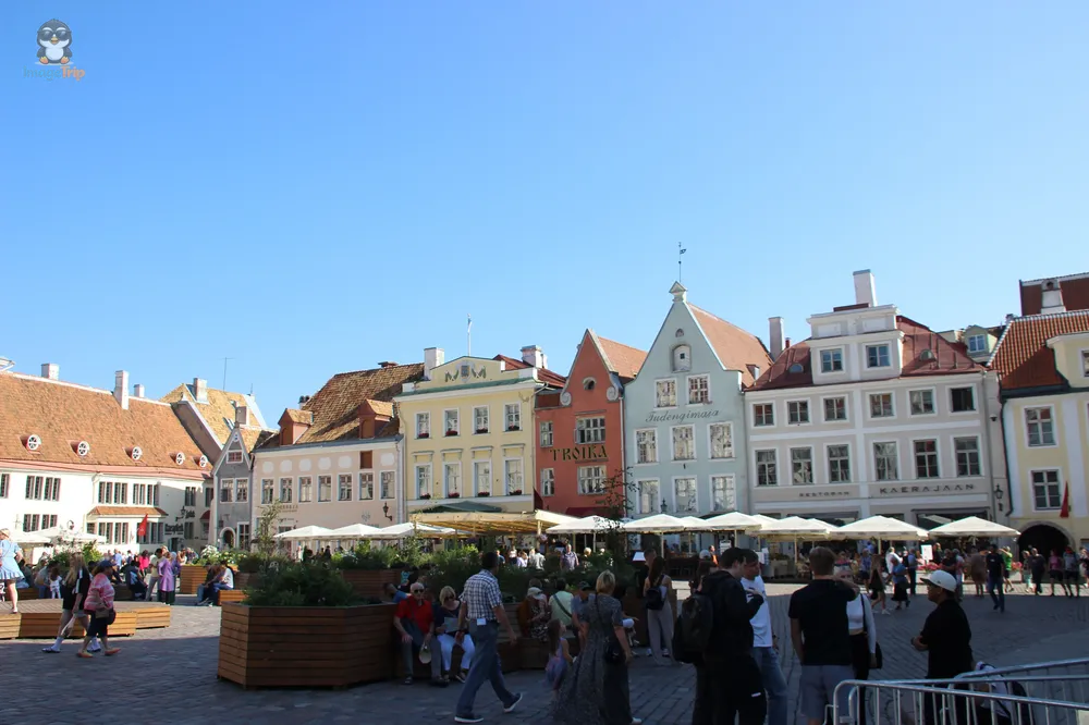 TallinAyuntamiento_34