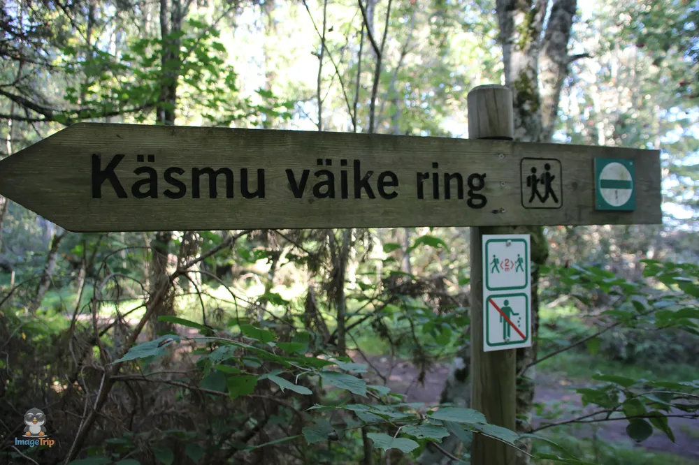 Kasmu_49