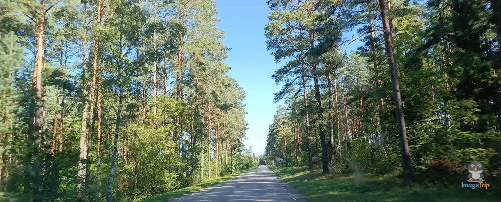 HaraBaseSumbarinos_36