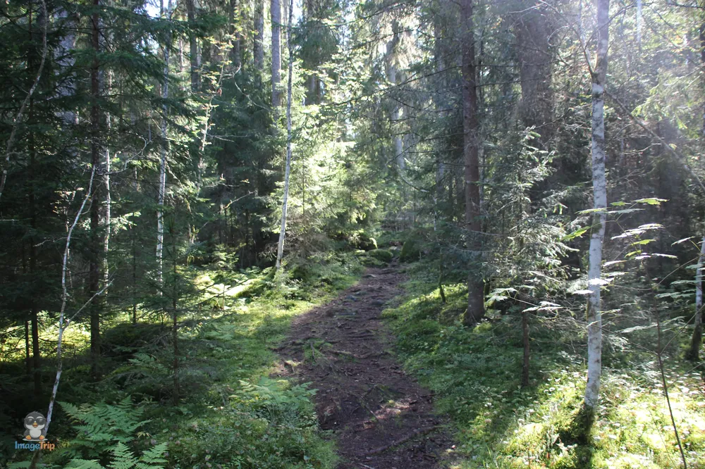 Kasmu_50