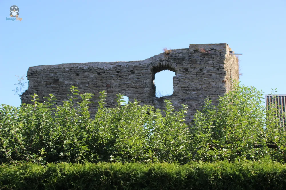 Vasknarva_8