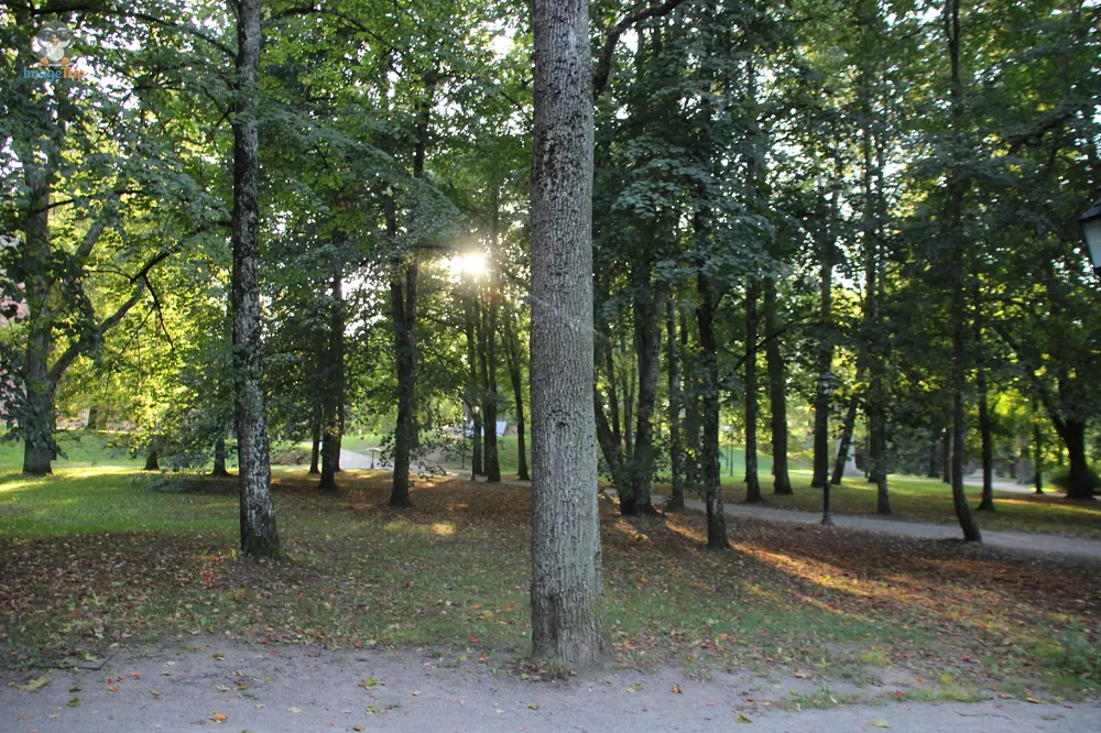 Tartu_53
