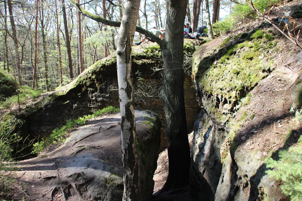 Kokorinsko Rocks (59)