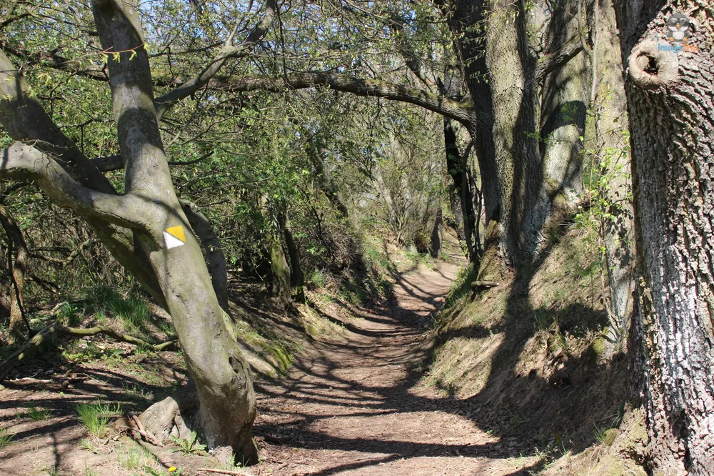 Kokorinsko Rocks (11)