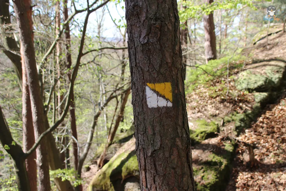 Kokorinsko Rocks (57)