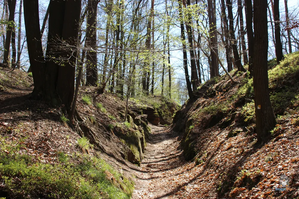 Kokorinsko Rocks (13)