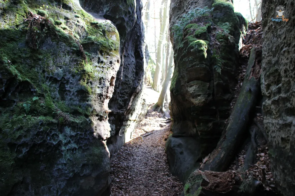 Kokorinsko Rocks (51)