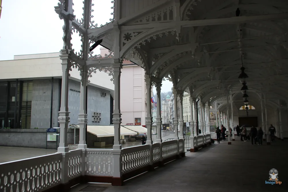 Karlovy Vary (69)