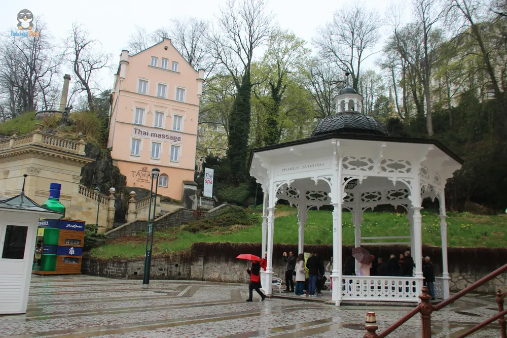 Karlovy Vary (91)