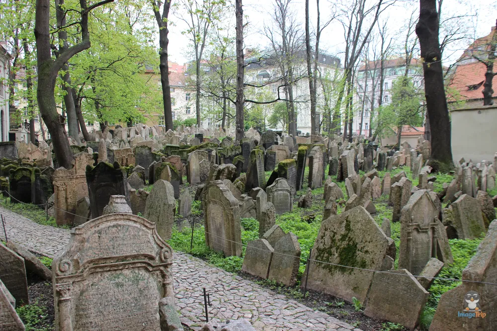 Cementerio Judío 35