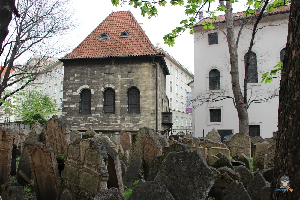 Cementerio Judío 37