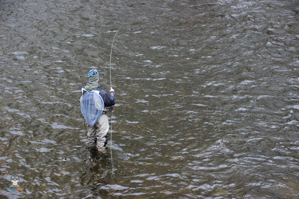 Cesky Krumlov Puente 7