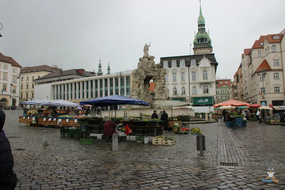 Brno Plaza Zelny 1