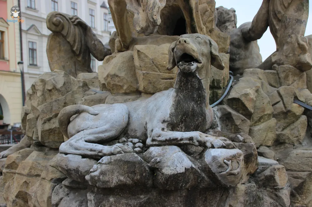 Olomouc Plaza Alta 24