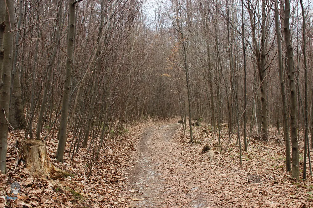 Punkva Caves Trekking 14