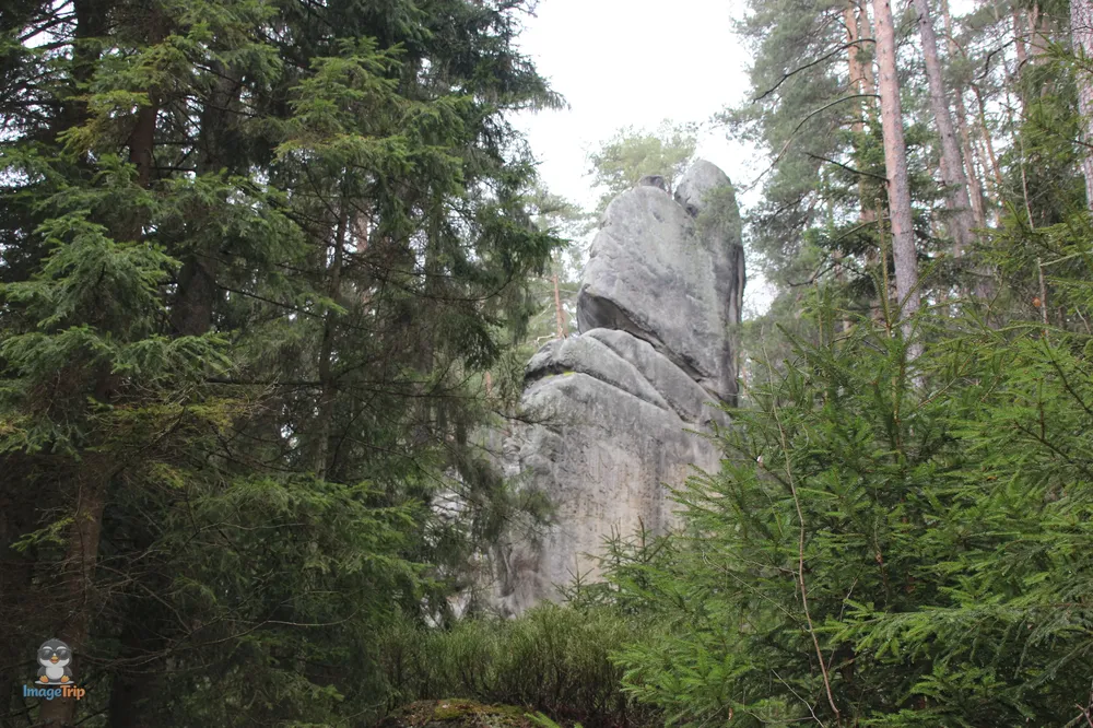 Ardspach Teplice (7)