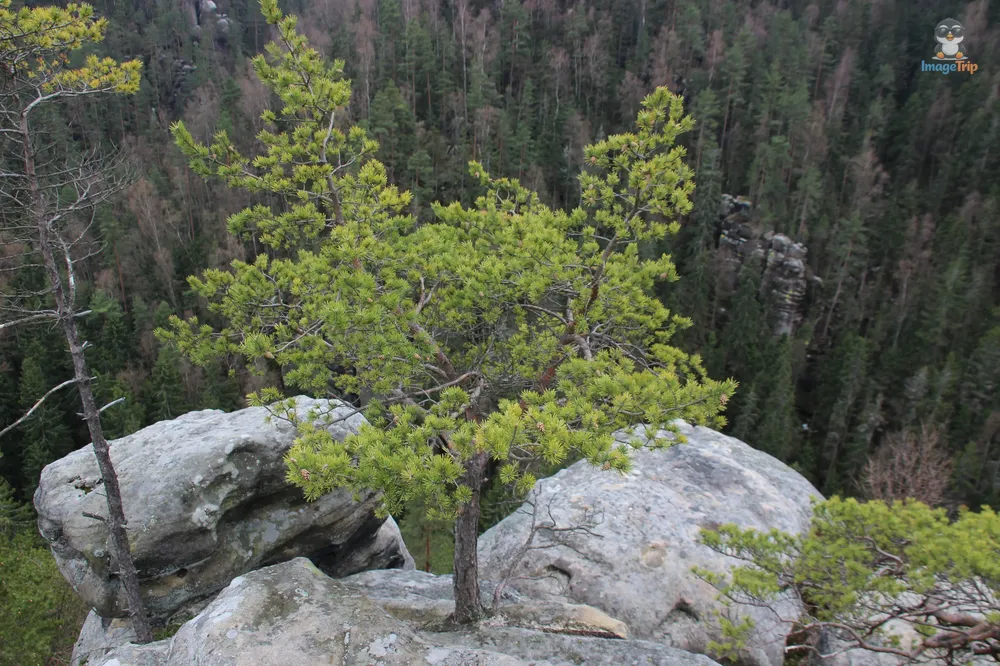 Ardspach Teplice (37)