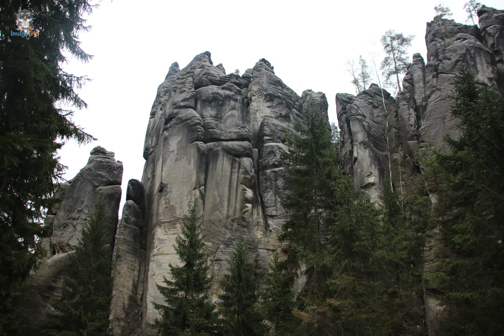 Ardspach Teplice (87)