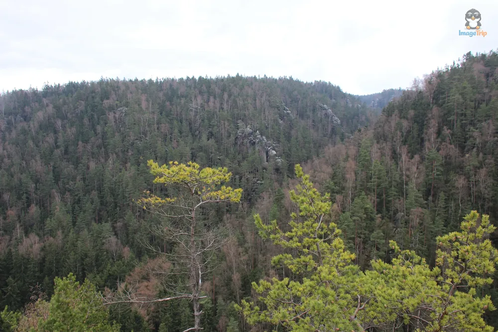 Ardspach Teplice (28)