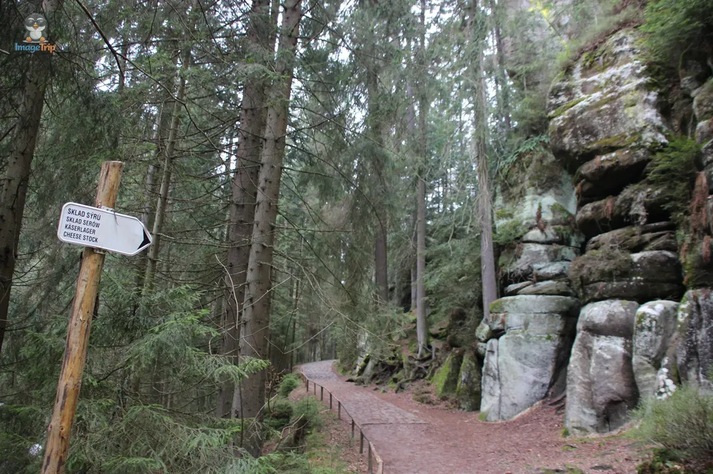 Ardspach Teplice (13)