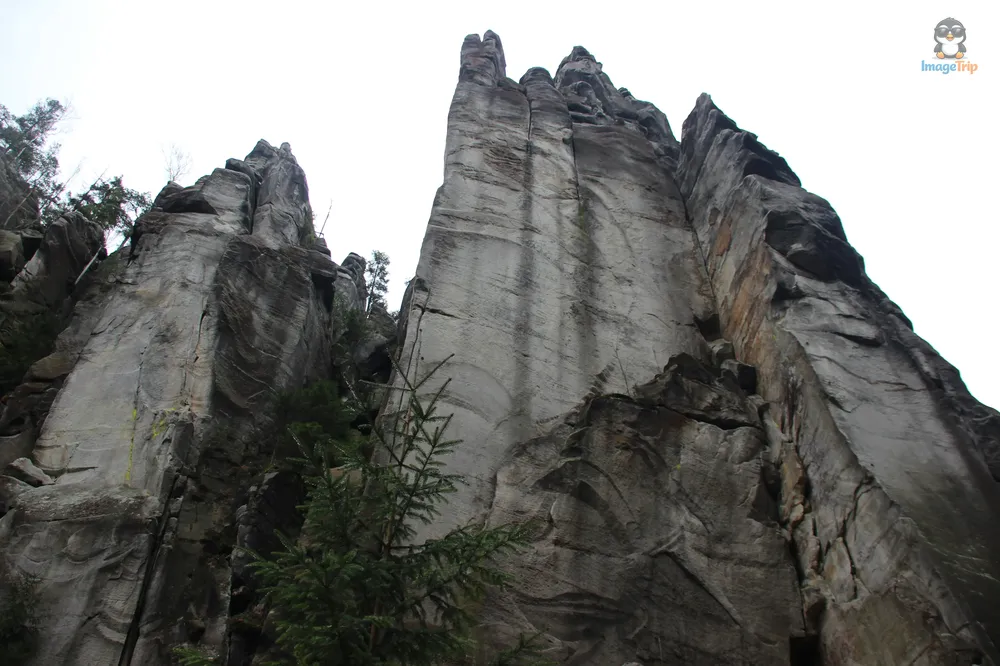 Ardspach Teplice (95)