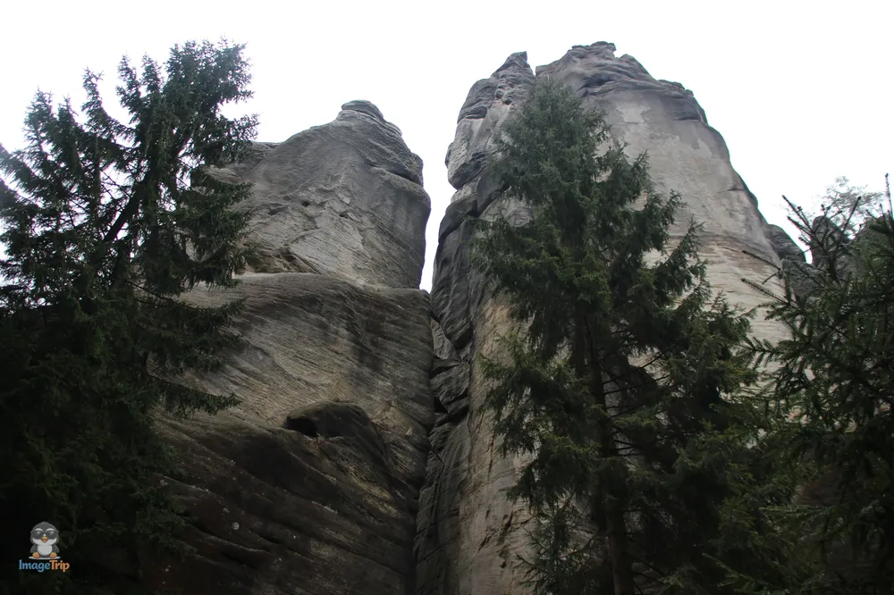 Ardspach Teplice (86)