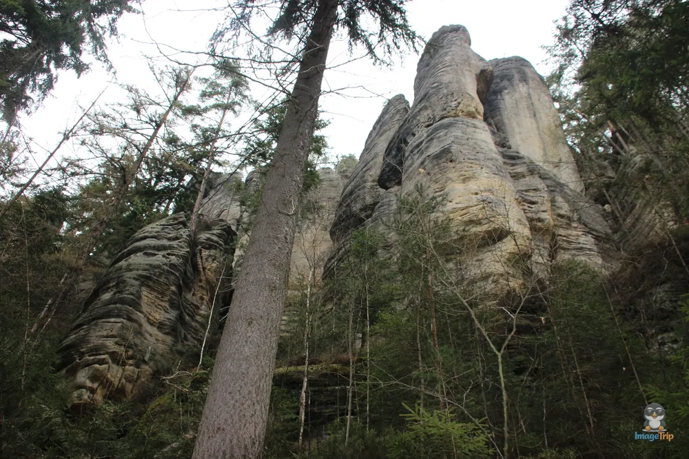 Ardspach Teplice (45)