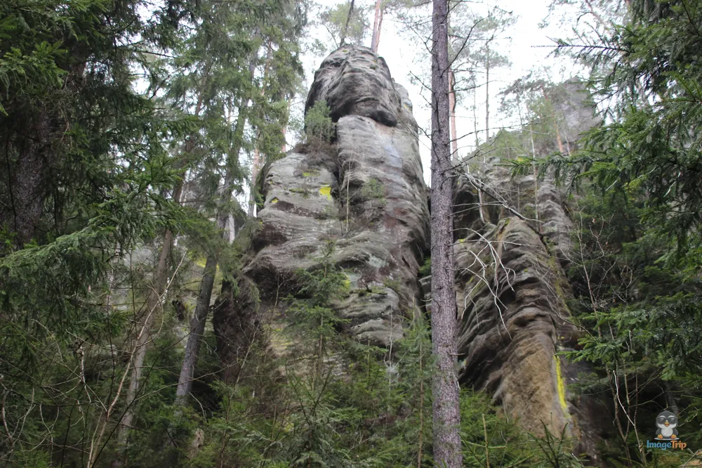 Ardspach Teplice (11)