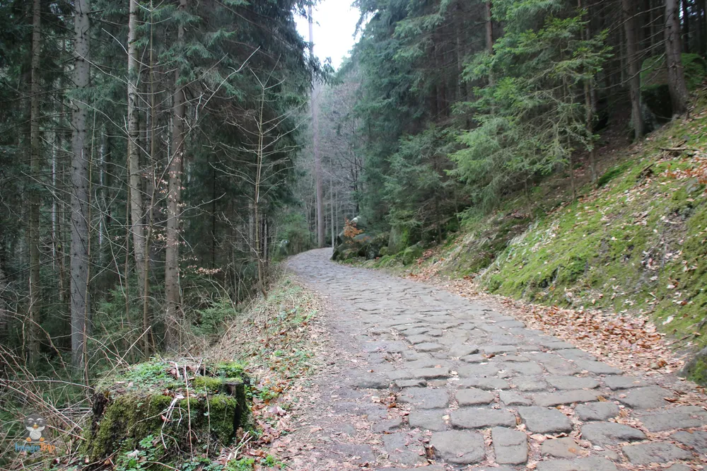 Ardspach Teplice (5)