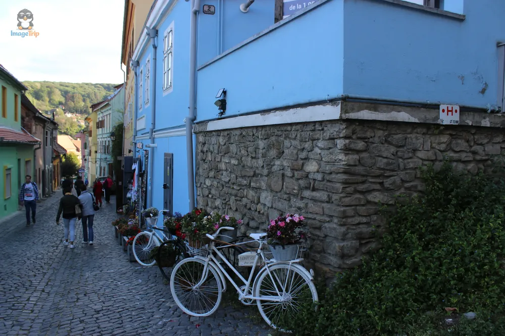 Sighisoara 8