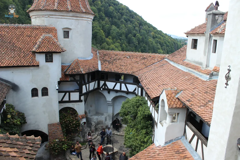 Bran_Castillo_20