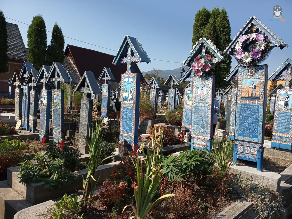 Sapanta Cementerio Alegre 34