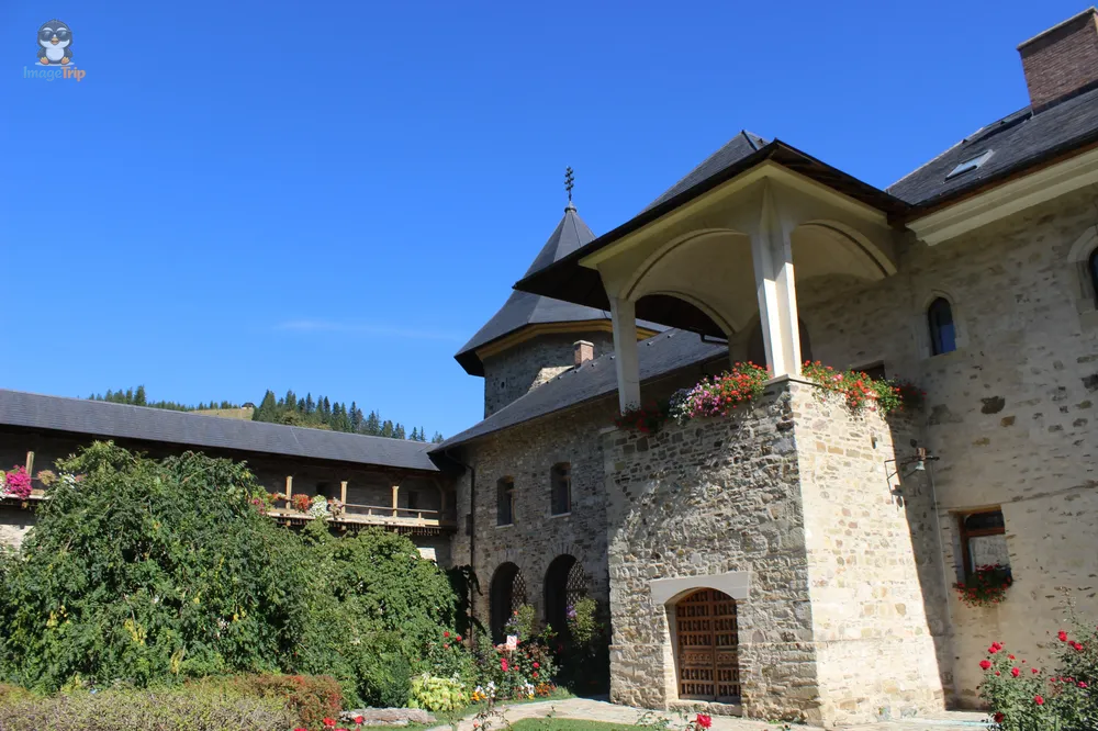 Sucevita Monastero 3